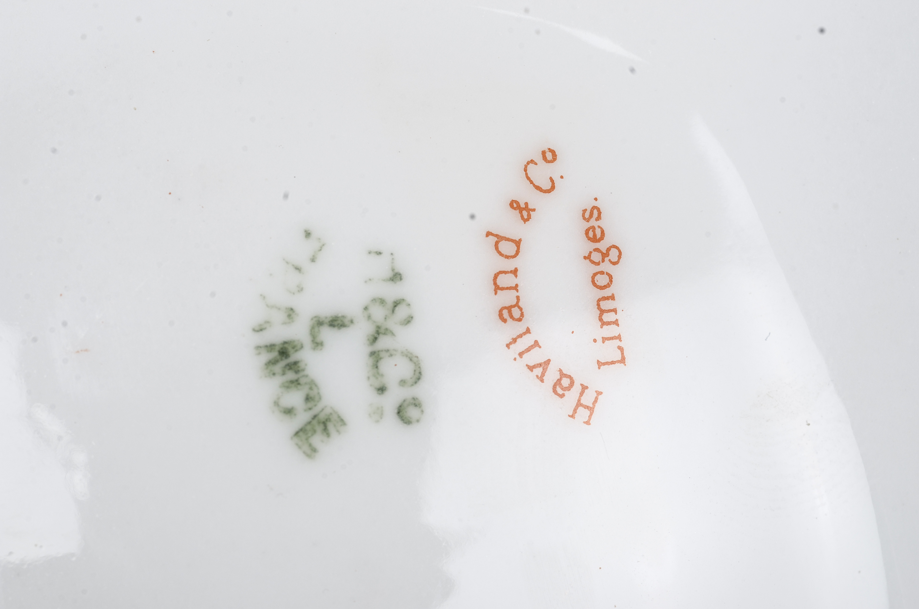 Haviland & Co. Limoges Oyster Plate