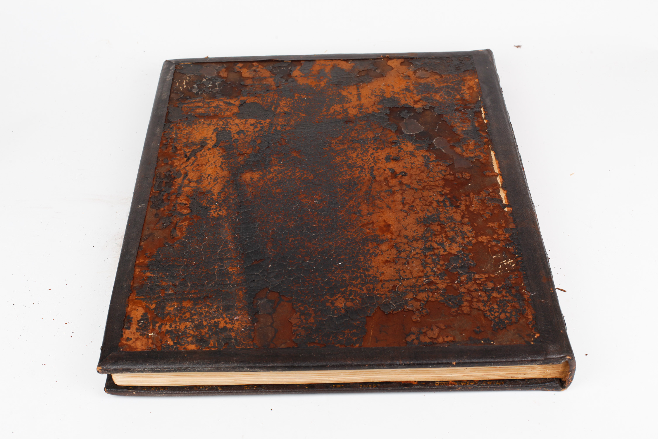 The White House Gallery of Official Portraits of the Presidents