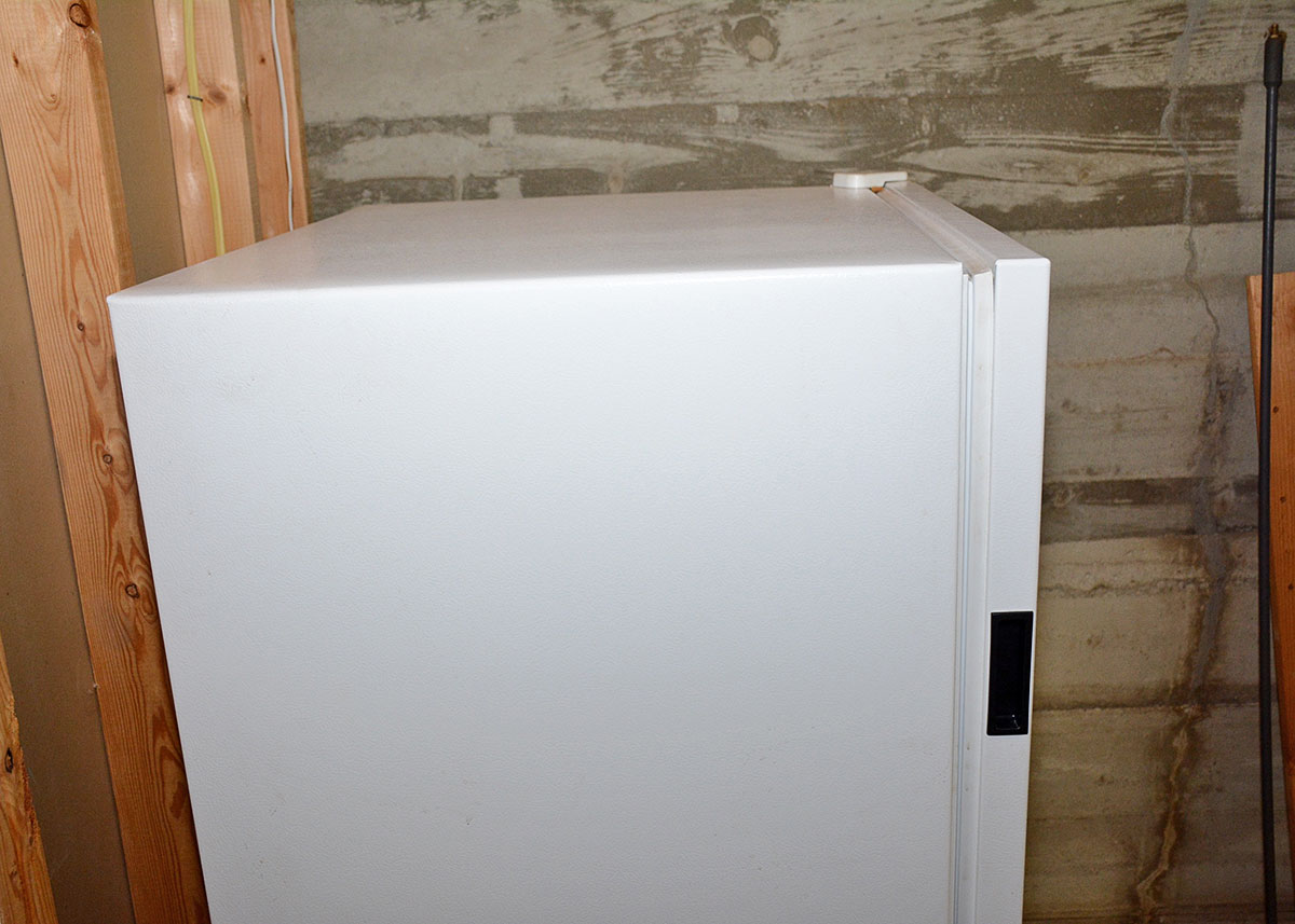 Frigidaire 11.3 Cubic Feet Standing Freezer