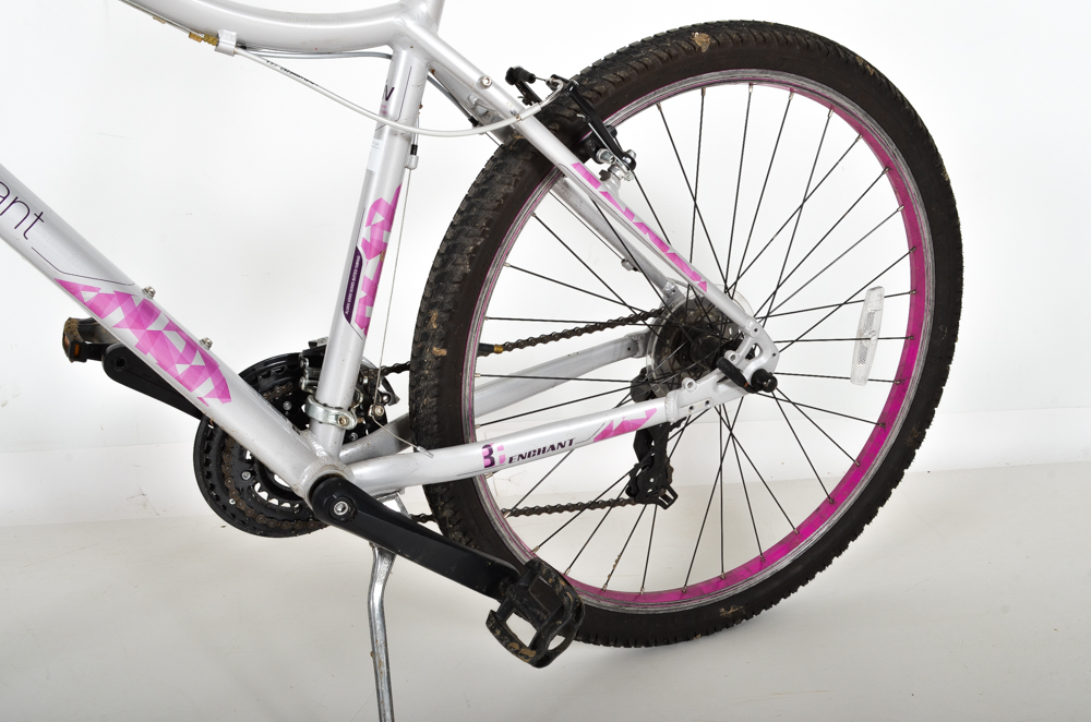 2014 Giant Enchant LIV Woman's Bicycle