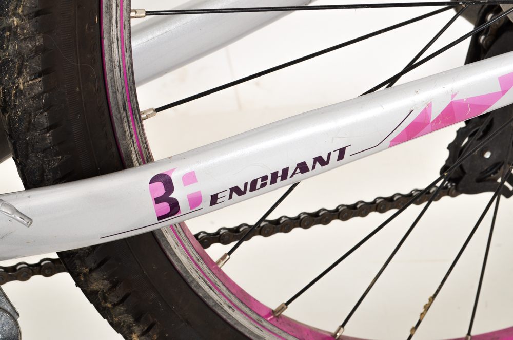 2014 Giant Enchant LIV Woman's Bicycle