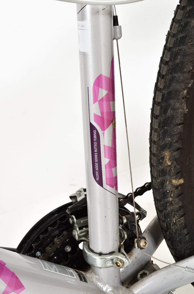 2014 Giant Enchant LIV Woman's Bicycle