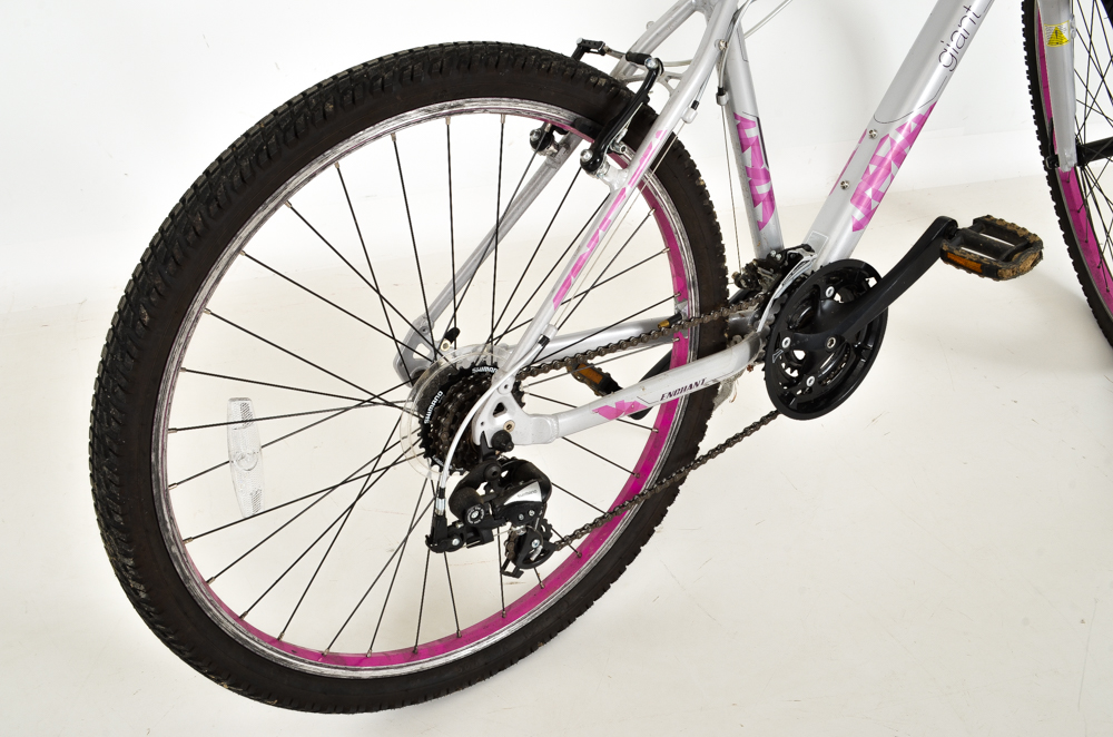 2014 Giant Enchant LIV Woman's Bicycle