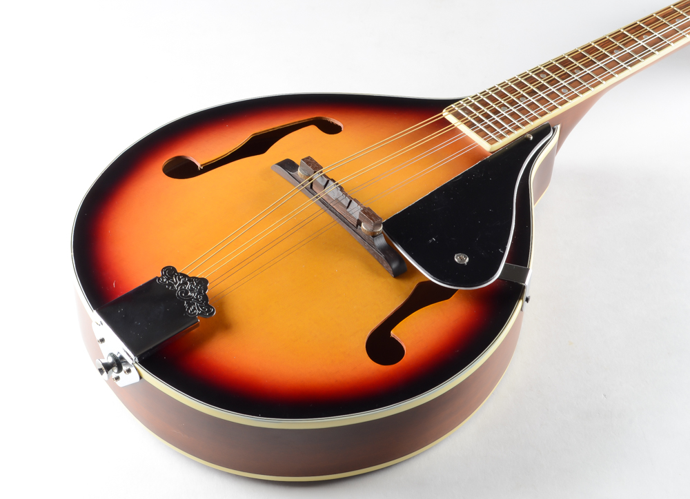 J Reynolds JRMAN10 Mandolin With Carrying Case