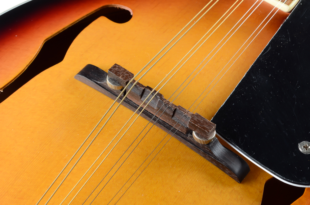 J Reynolds JRMAN10 Mandolin With Carrying Case