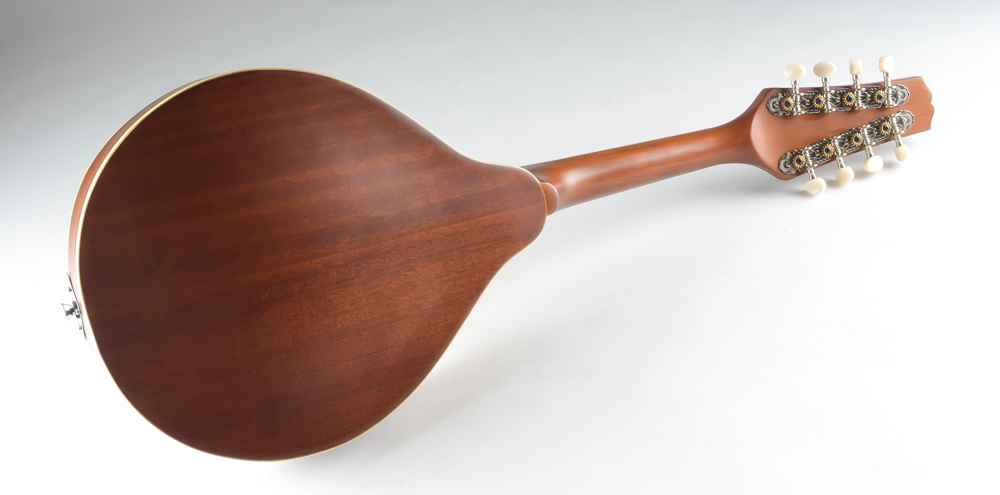 J Reynolds JRMAN10 Mandolin With Carrying Case