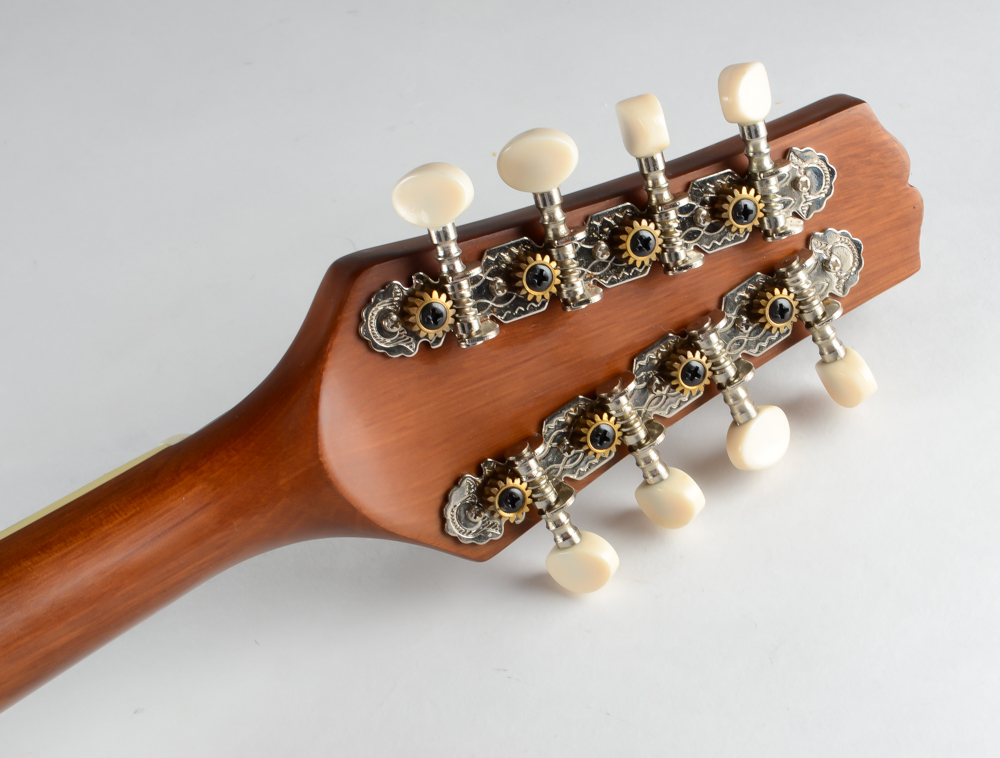 J Reynolds JRMAN10 Mandolin With Carrying Case