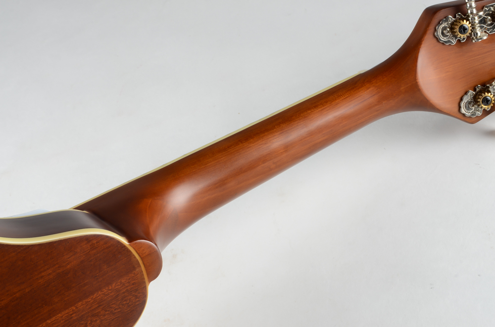 J Reynolds JRMAN10 Mandolin With Carrying Case