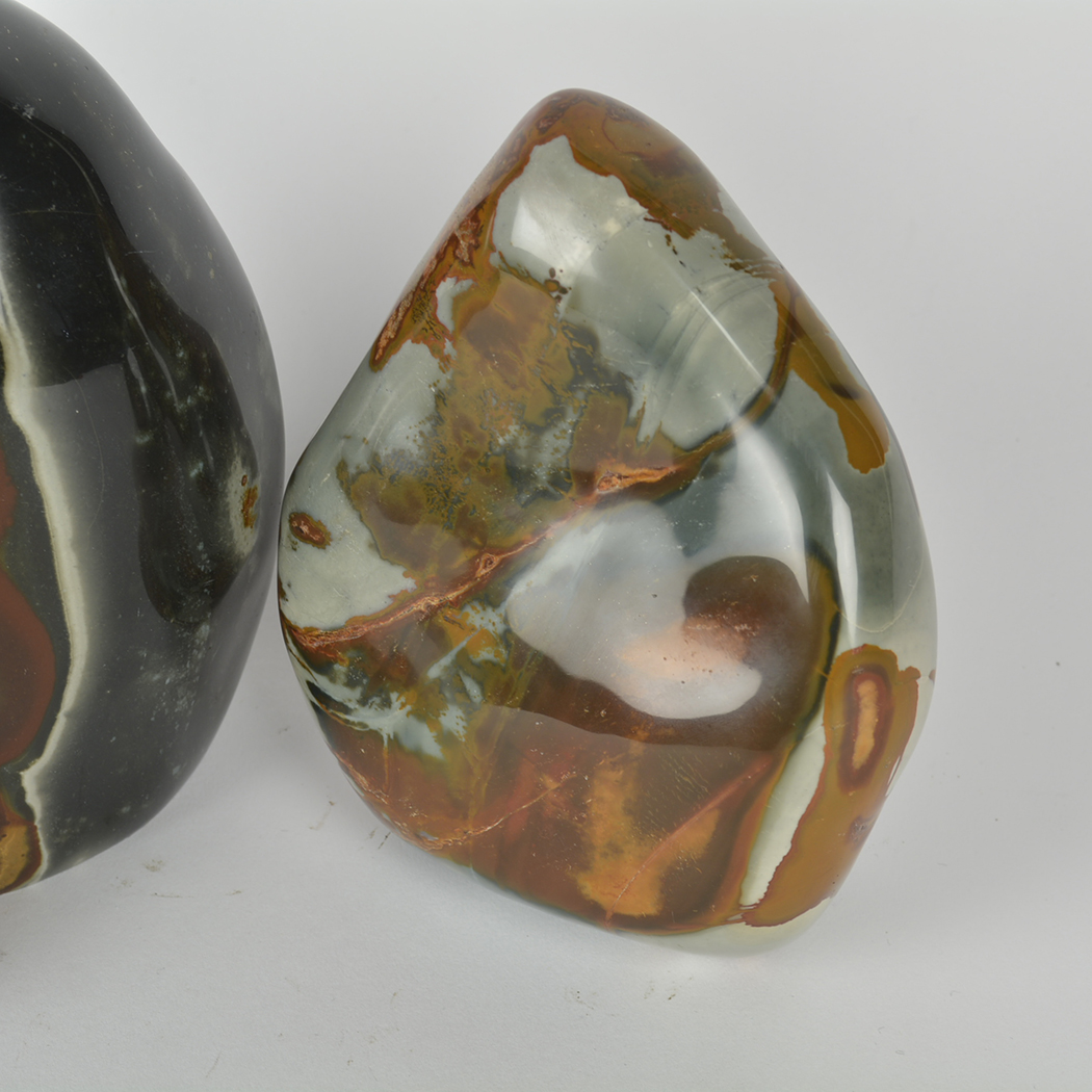 Collection of Tumbled Septarian