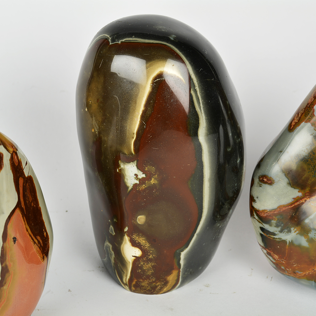 Collection of Tumbled Septarian