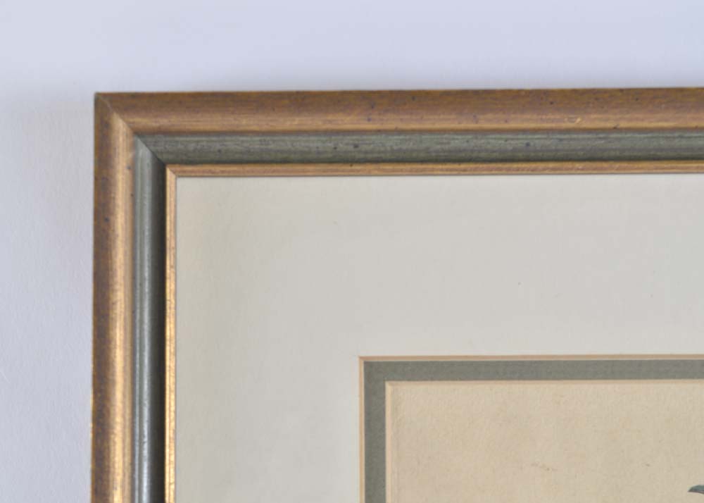 Hand-Colored Engraving of Cruciata