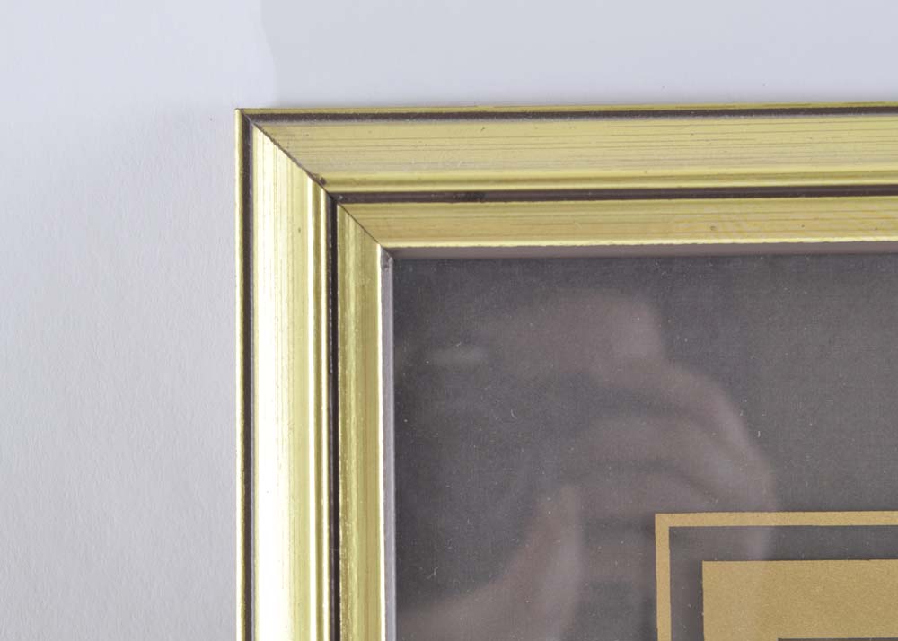 Botanical Apricot Offset Lithograph