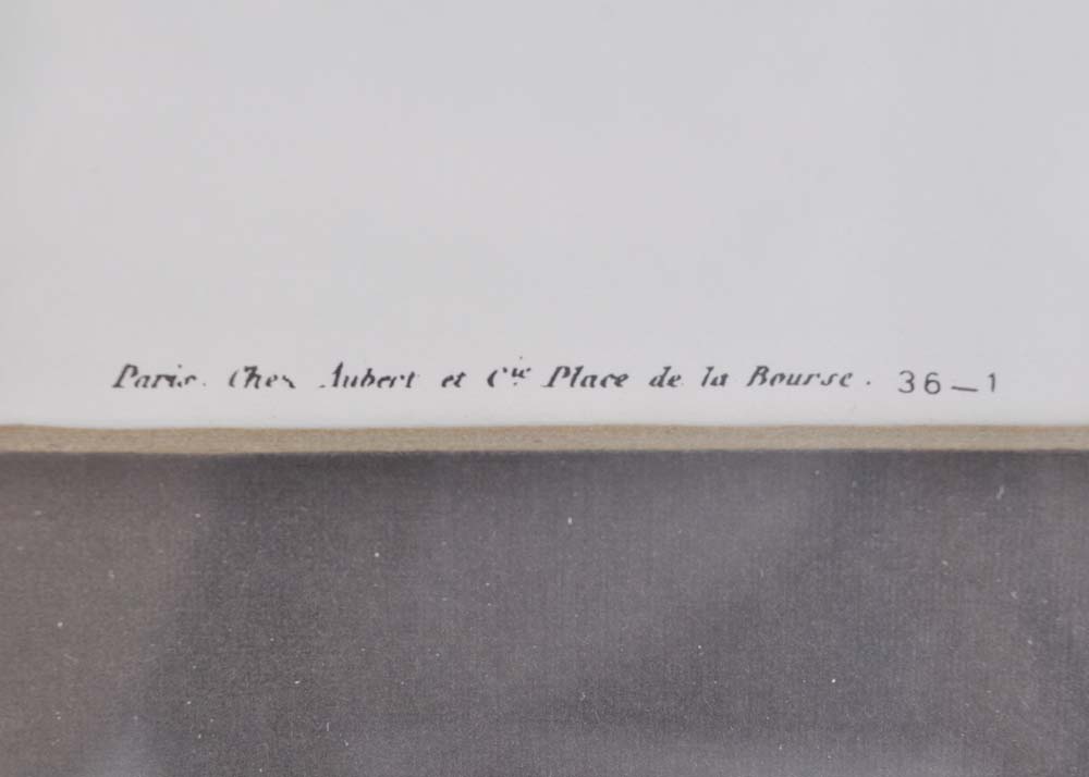 Botanical Apricot Offset Lithograph