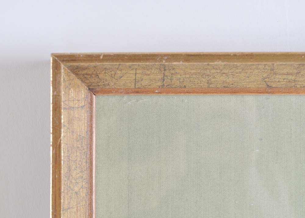 Pair of S. Curtis Walworth Botanical Offset Lithographs