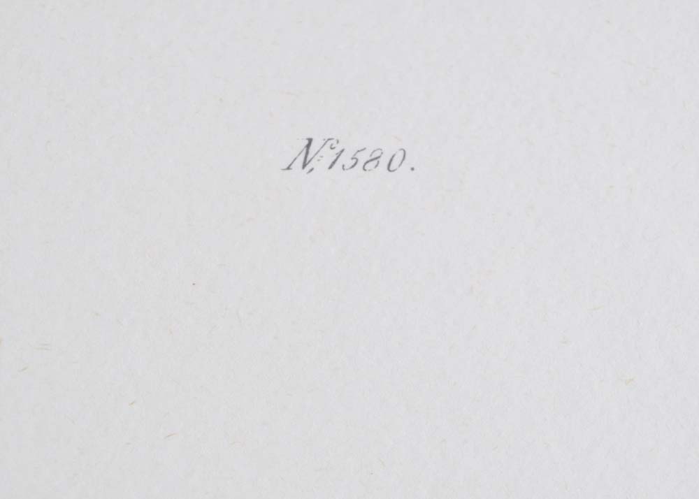 Pair of S. Curtis Walworth Botanical Offset Lithographs