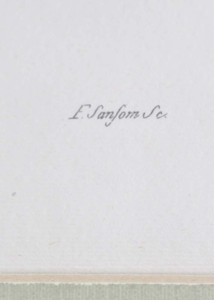 Pair of S. Curtis Walworth Botanical Offset Lithographs