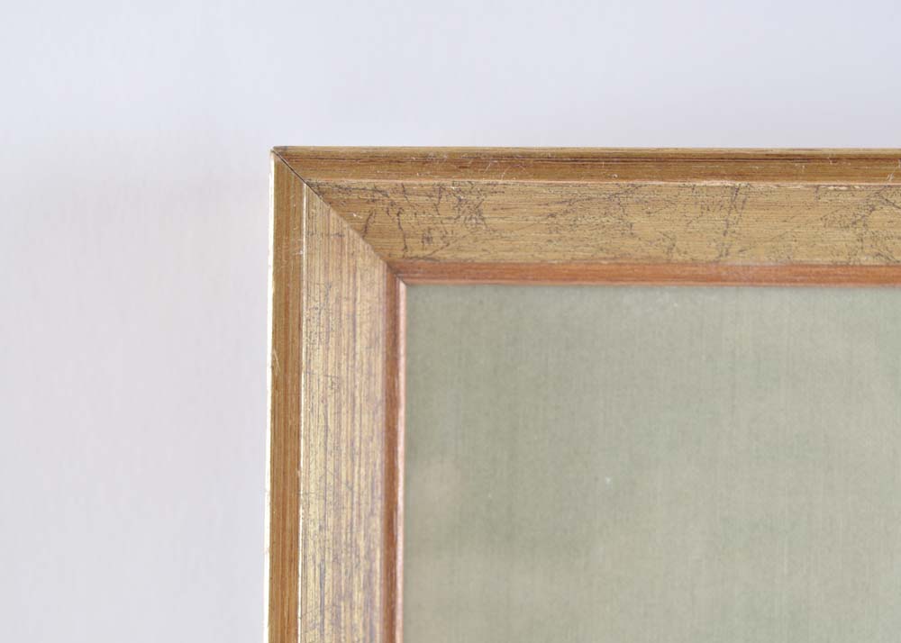 Pair of S. Curtis Walworth Botanical Offset Lithographs