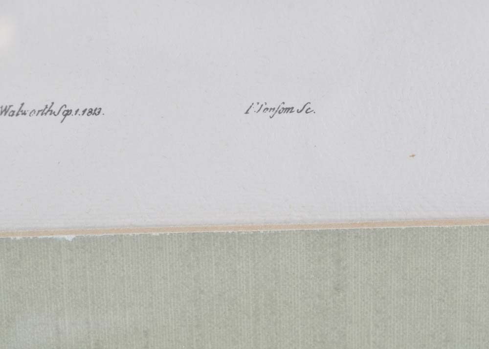 Pair of S. Curtis Walworth Botanical Offset Lithographs