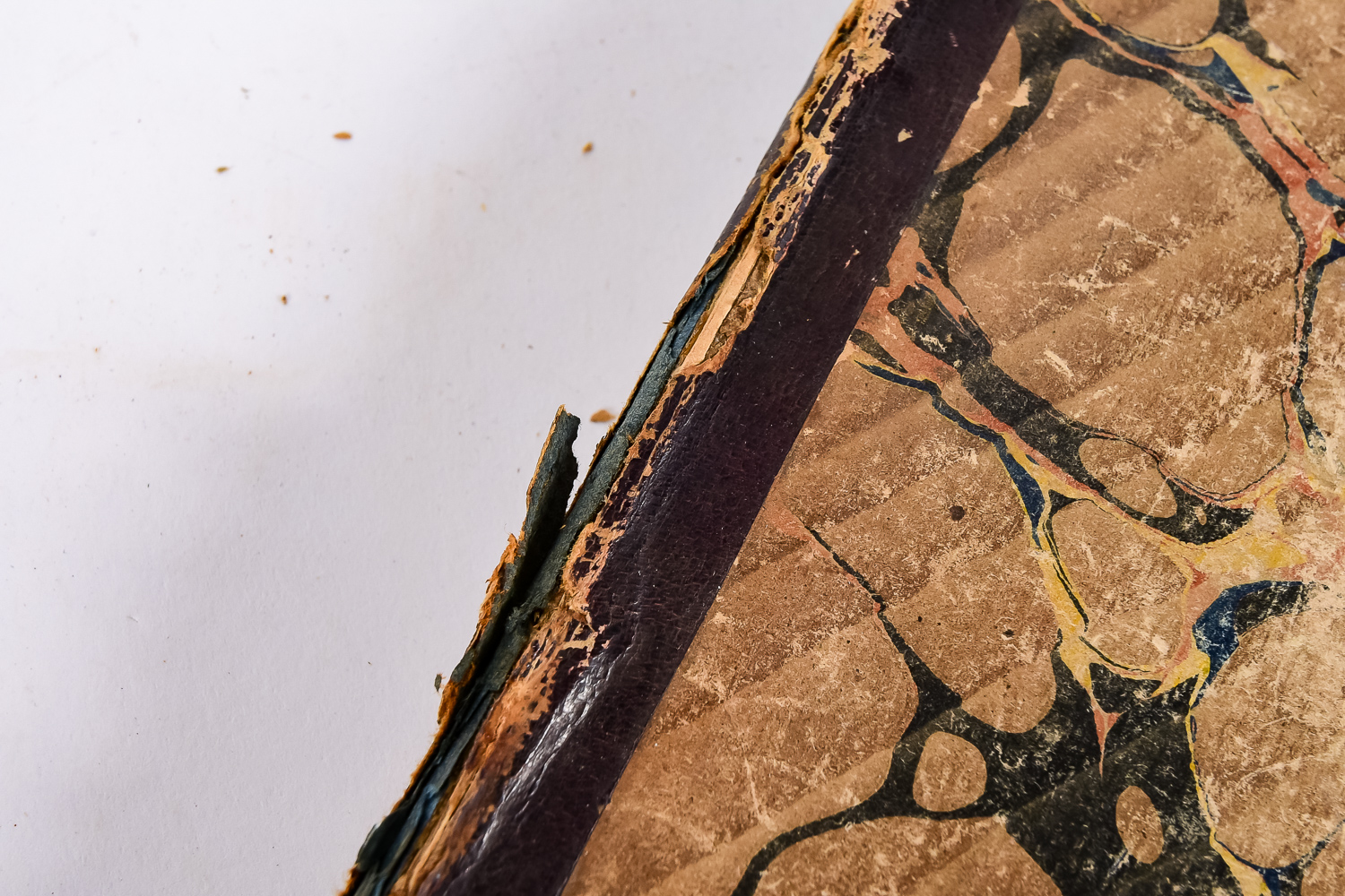 Collection of 19th Century French Books