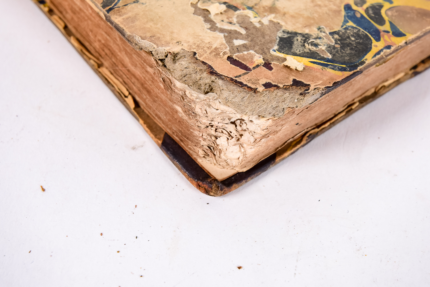 Collection of 19th Century French Books