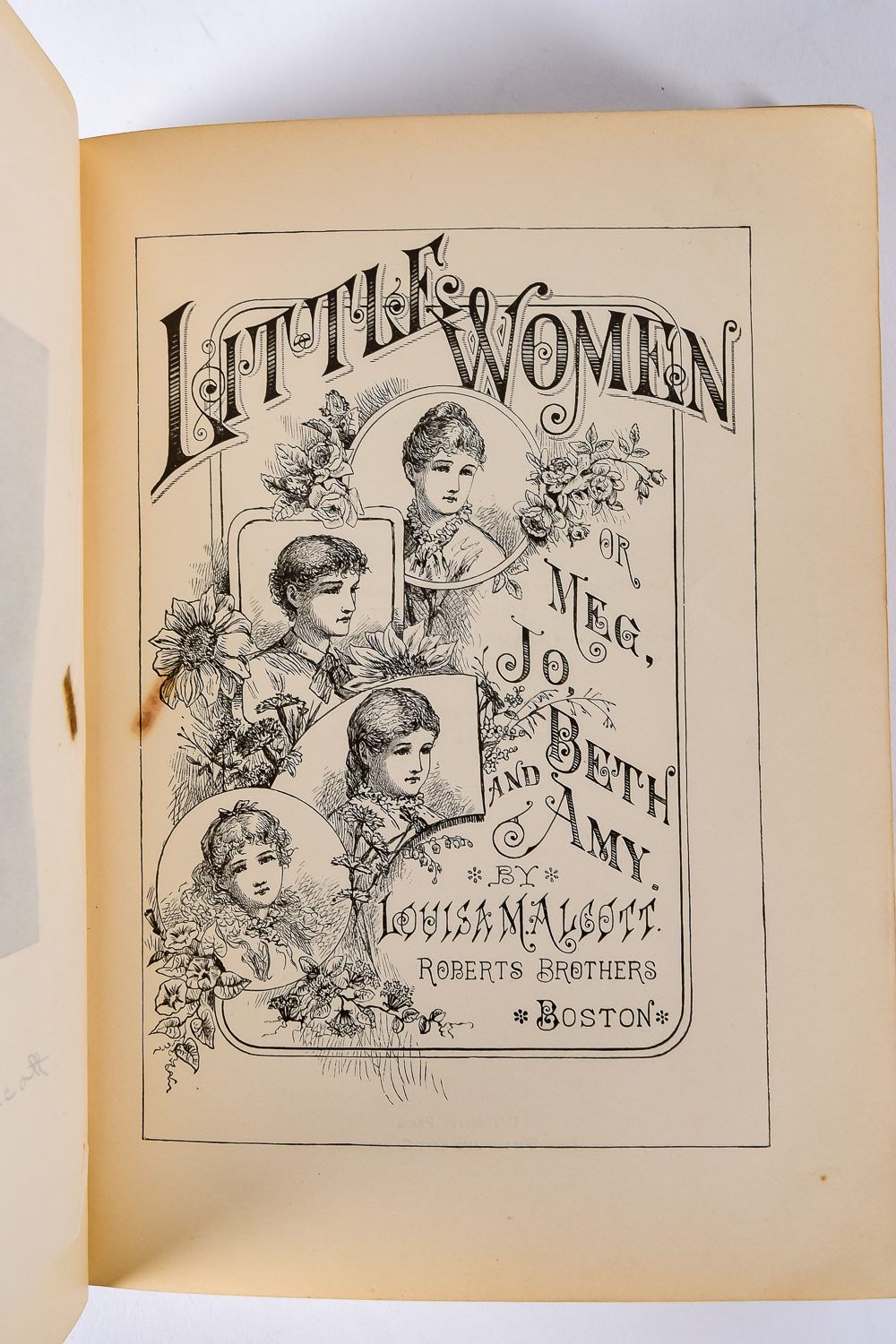 Collection of Classic Novels