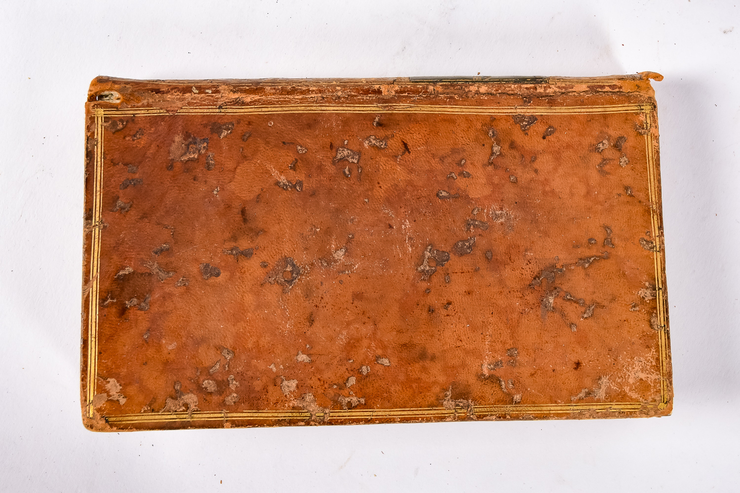 Pair of Antique Books