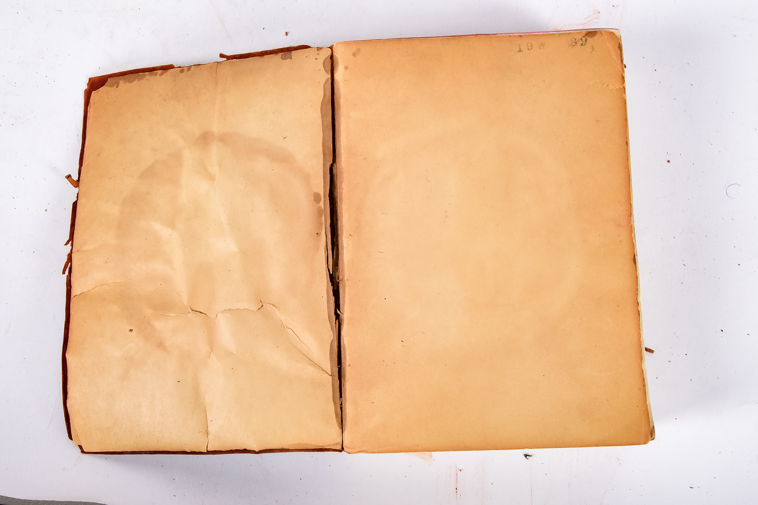 Pair of Antique Books