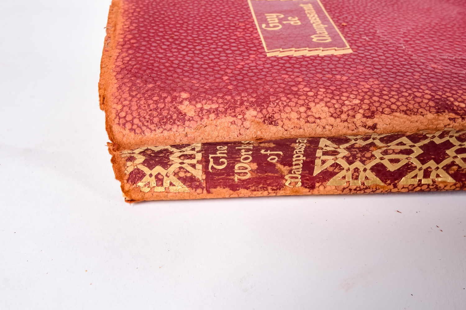 Pair of Antique Books