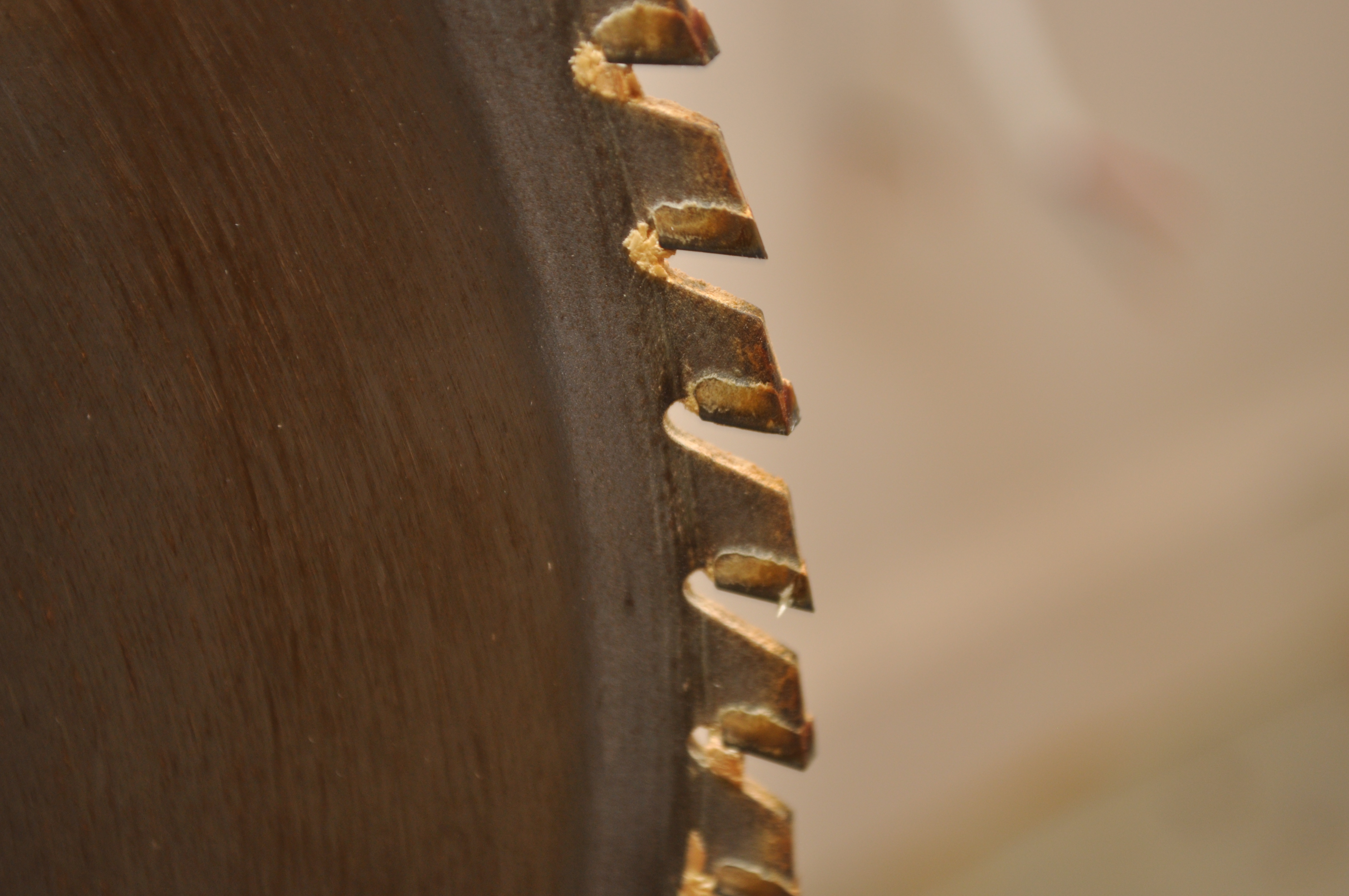 Ridgid 12-inch Compound Miter Saw With Exactline Adjustable Laser