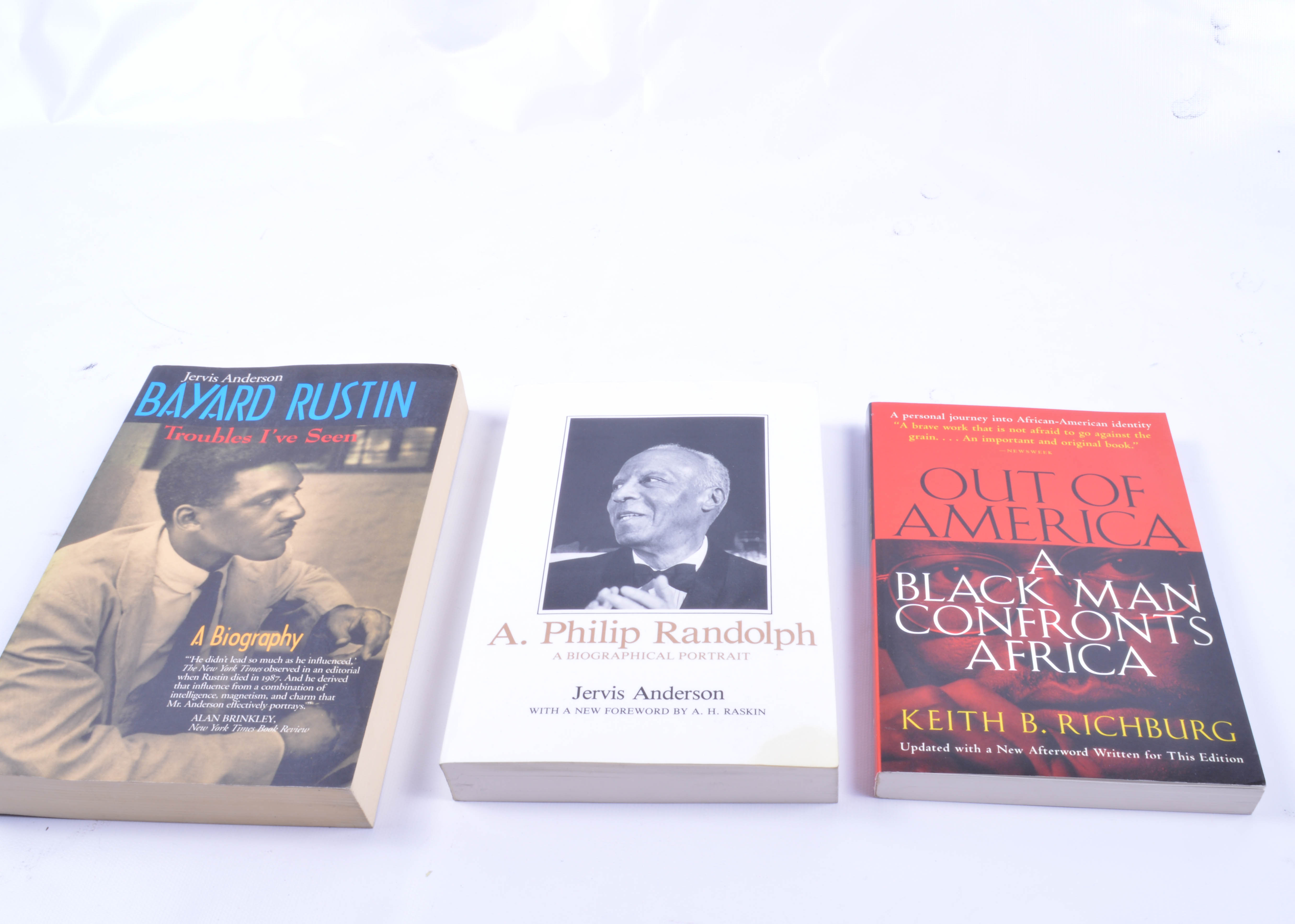 Assortment of African American Studies Titles