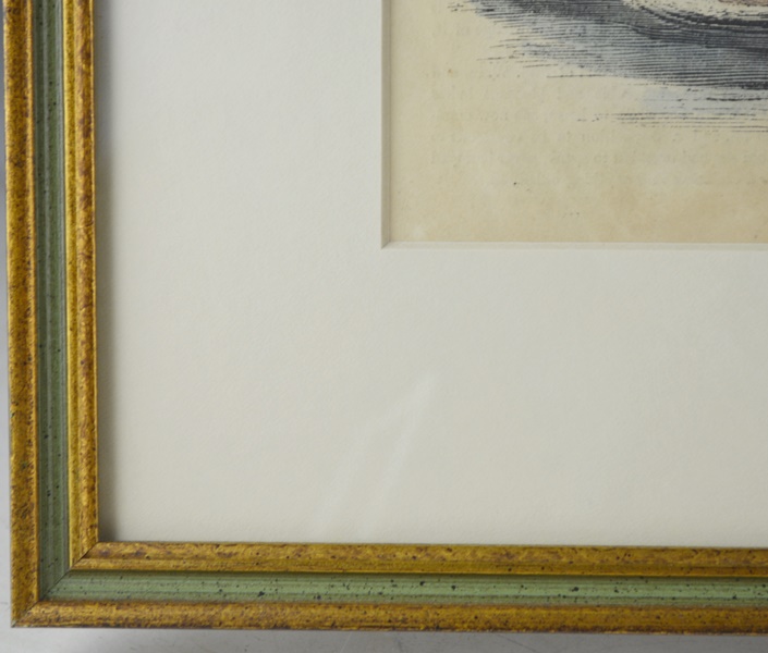 Louisville Mail Company Steamboat Jacob Strader Hand-Colored Printed Illustration