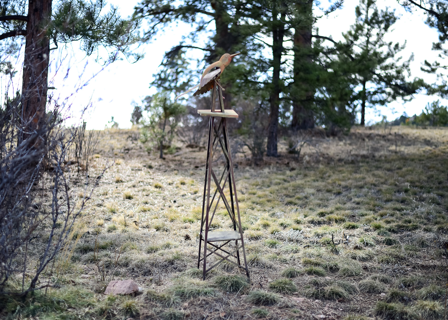 Metal Bird Outdoor Sculpture