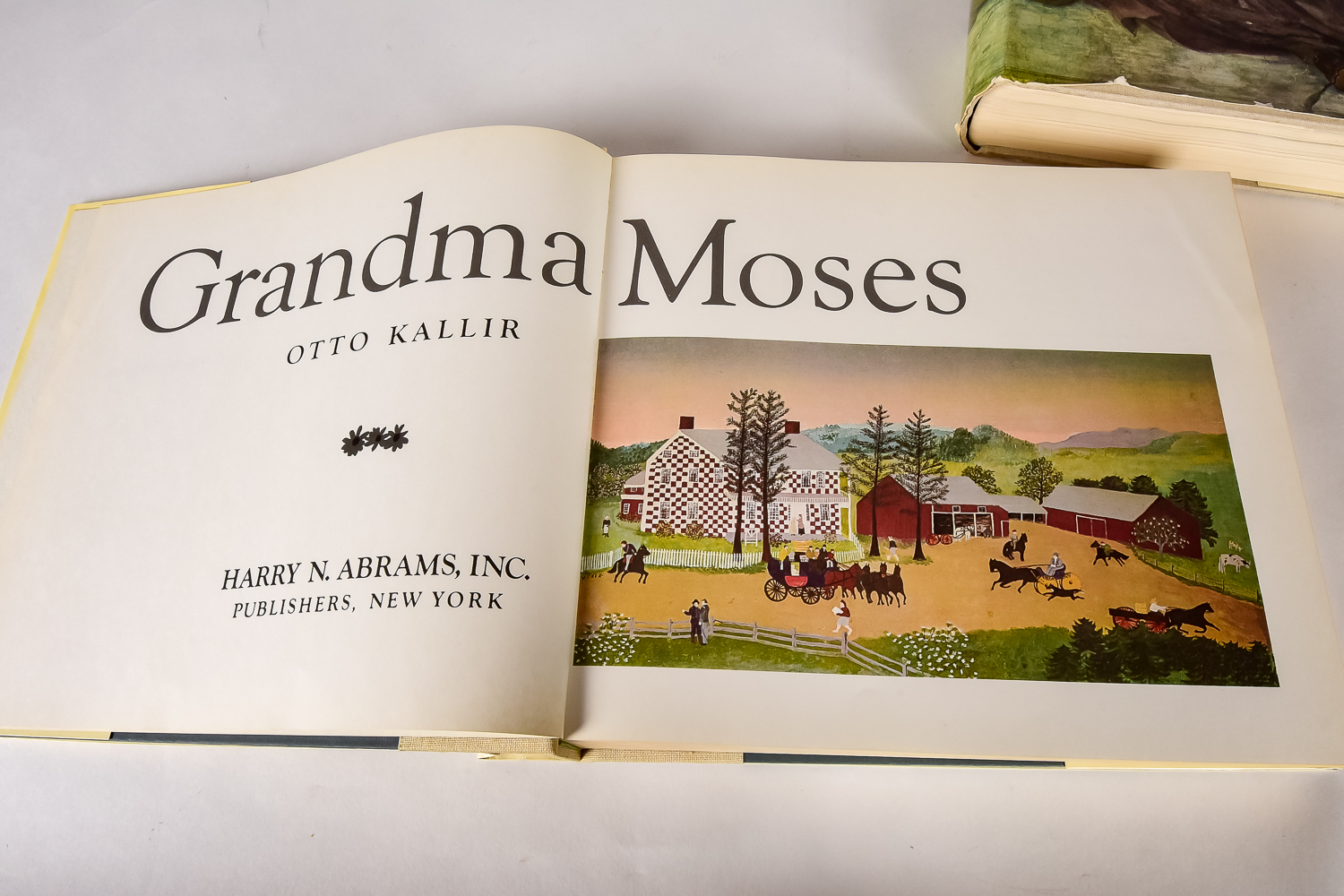 Collection of Art Books