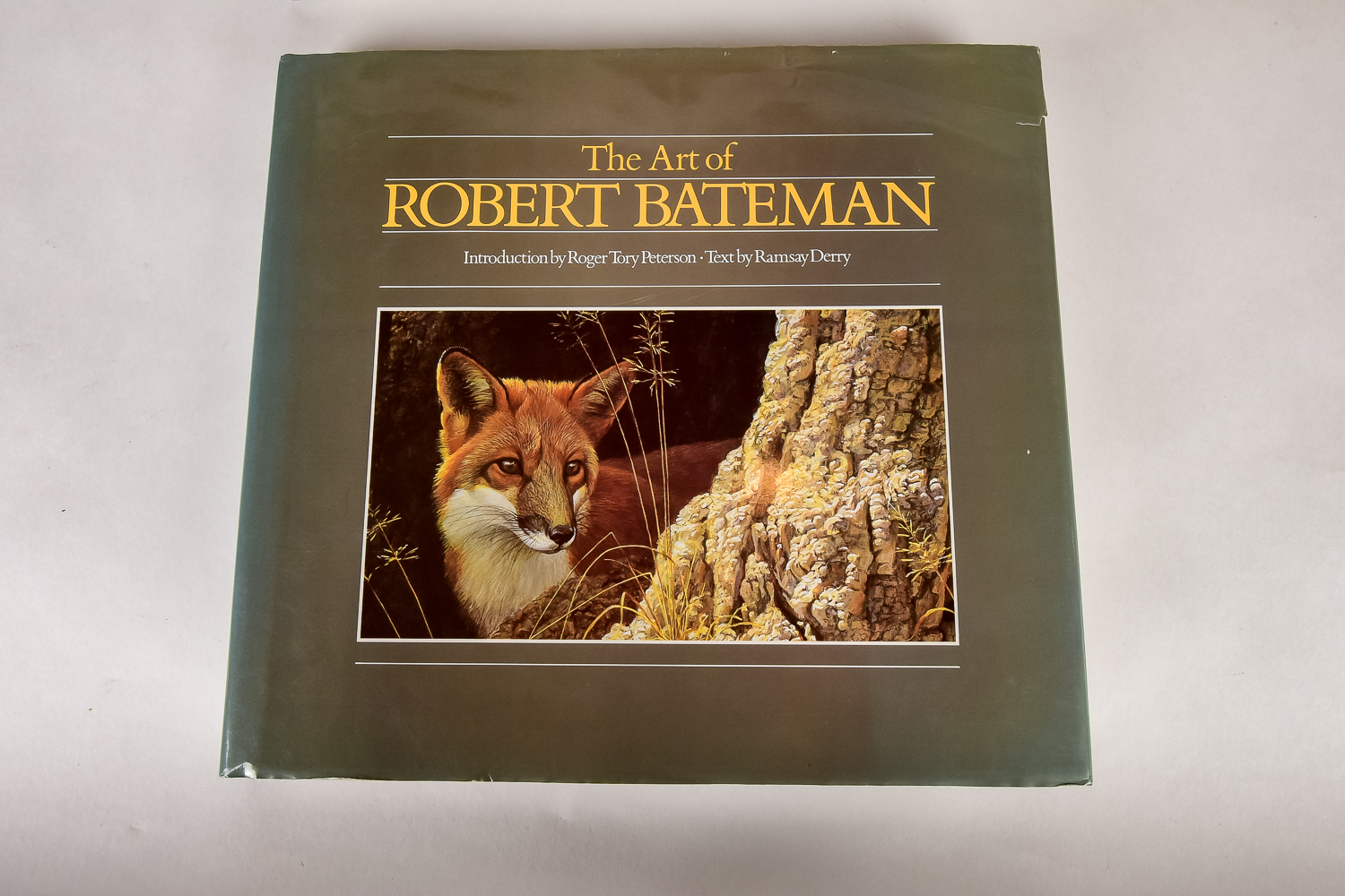 Collection of Art Books