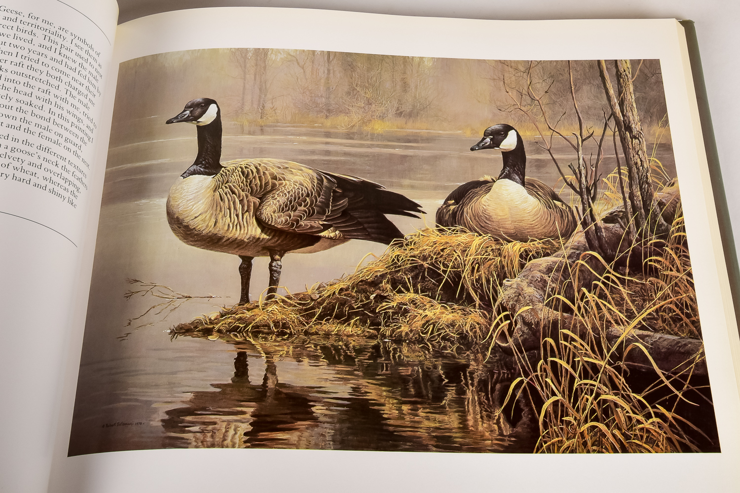 Collection of Art Books