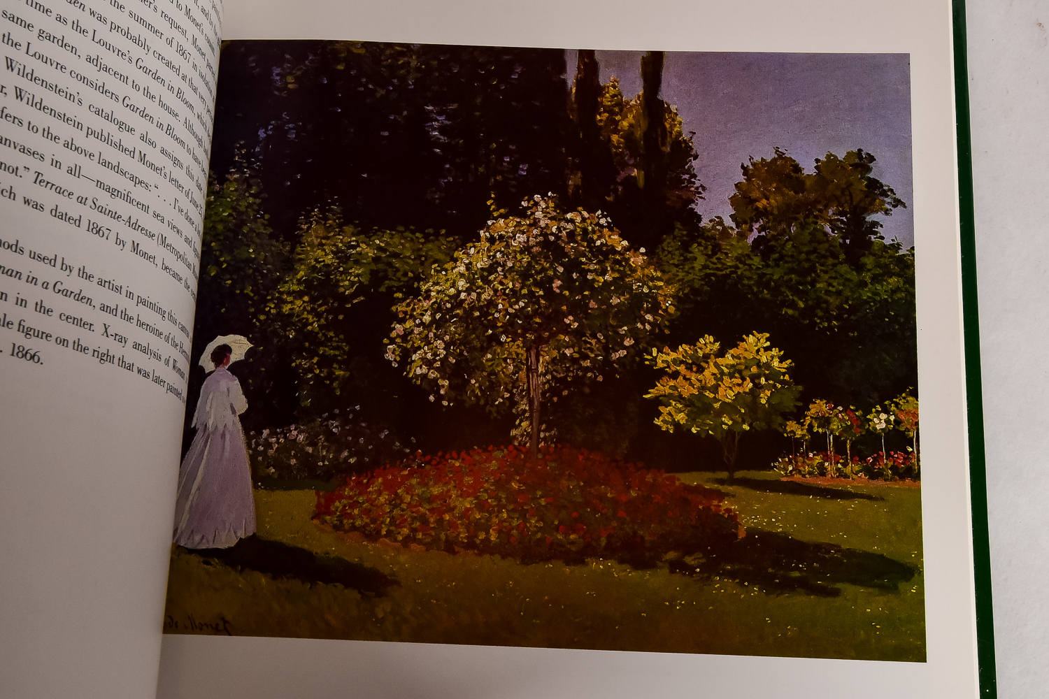 Collection of Art Books