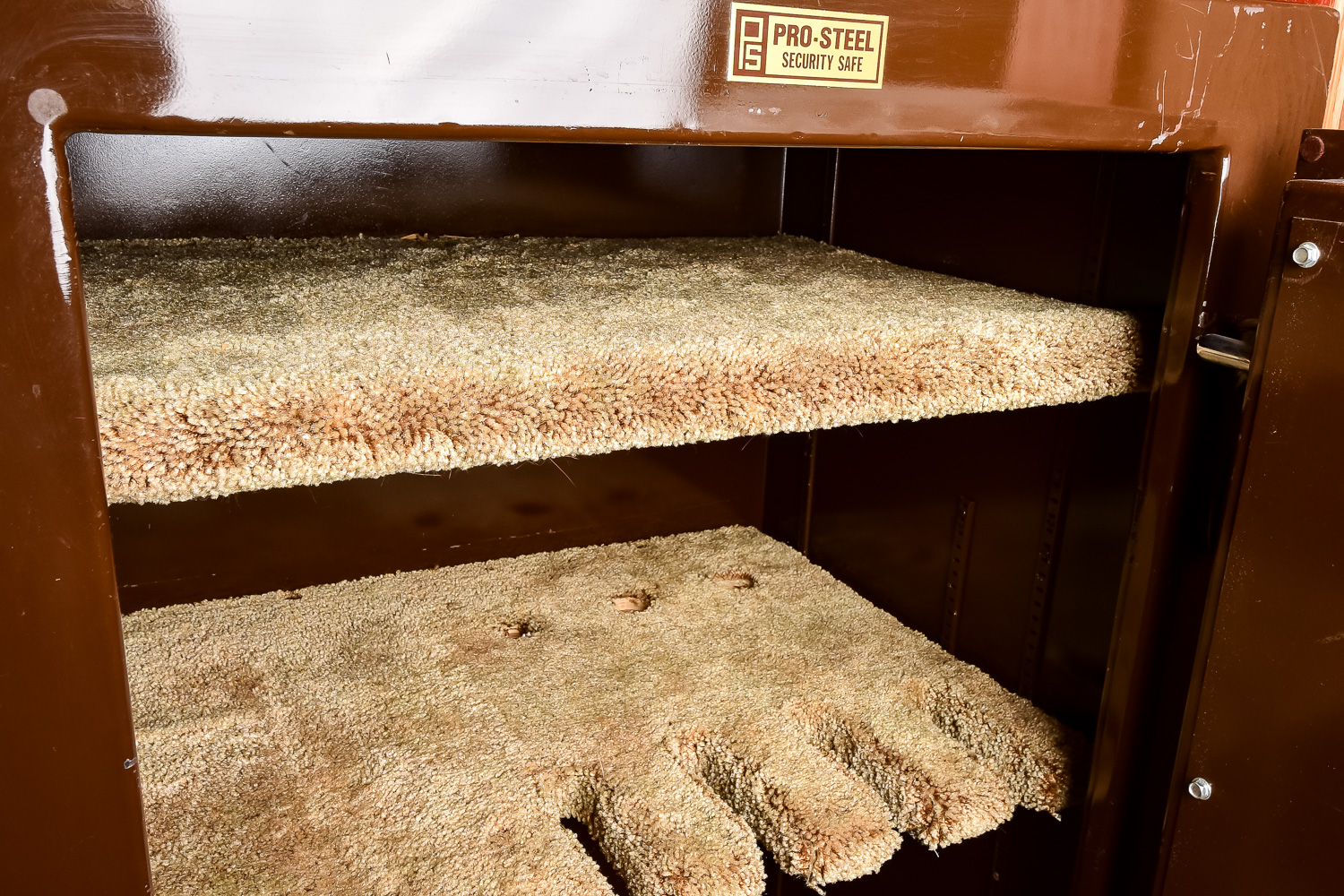 Pro-Steel Security Gun Safe