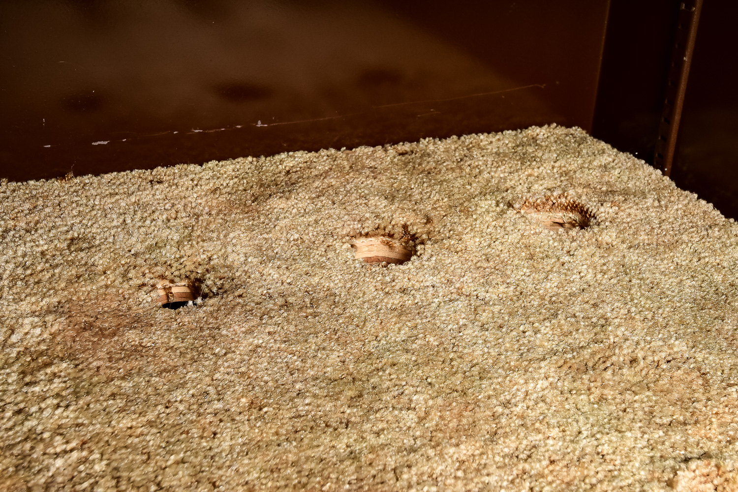 Pro-Steel Security Gun Safe