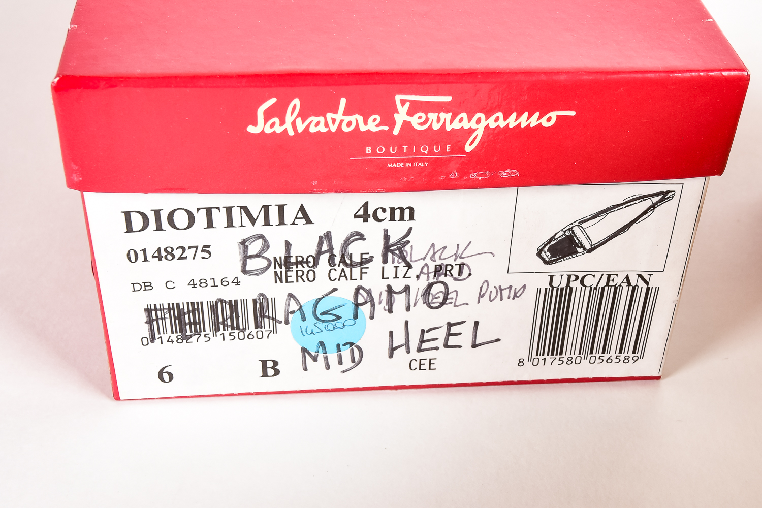 Pair of Italian Leather Women's Designer Shoes