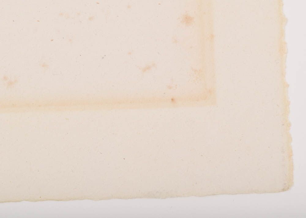 Pierre-Auguste Renoir Lithograph "Femme au cep de Vigne"