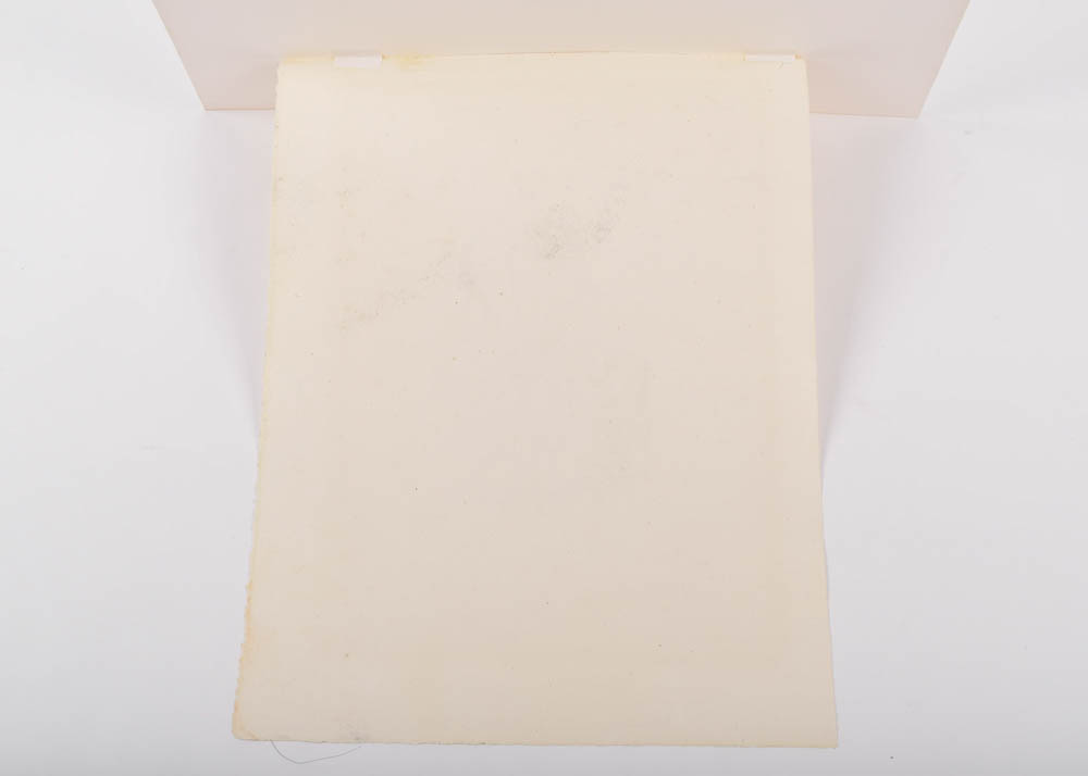 Pierre-Auguste Renoir Lithograph "Femme au cep de Vigne"