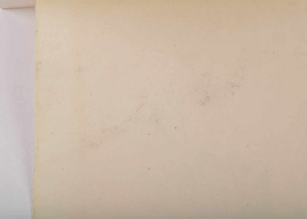 Pierre-Auguste Renoir Lithograph "Femme au cep de Vigne"