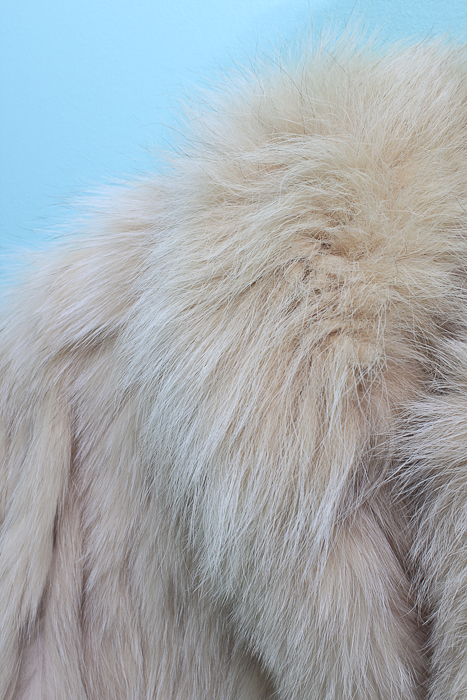 Saga Fox Women's Scandinavian Blue Fox Fur Jacket