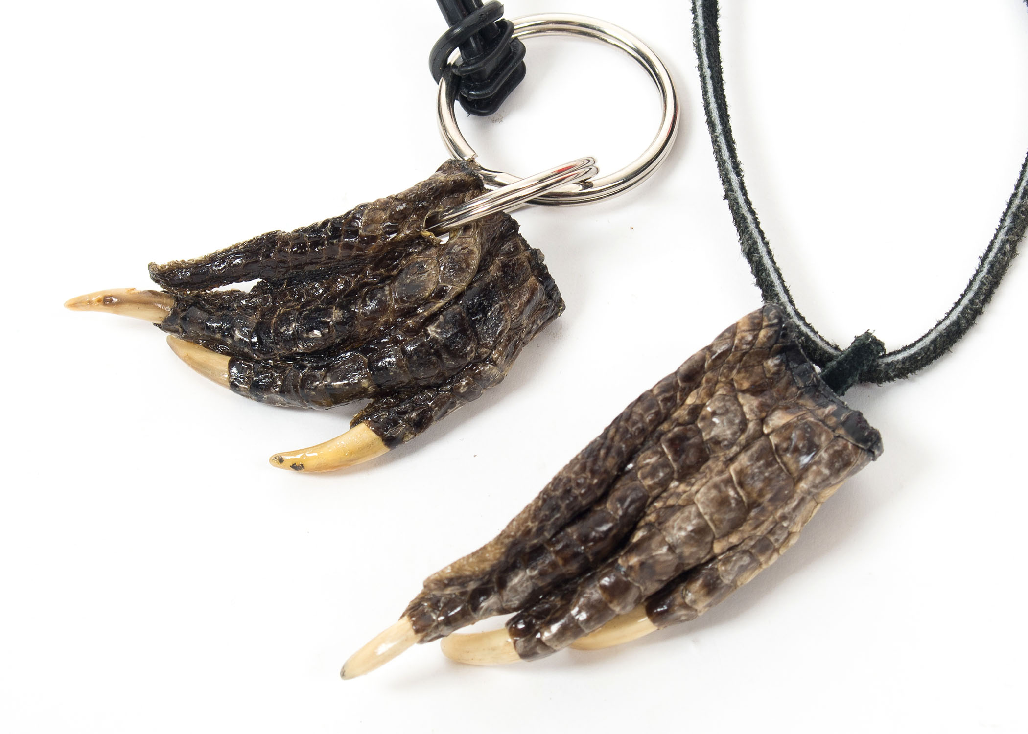 Alligator Claw Necklace and Keychain