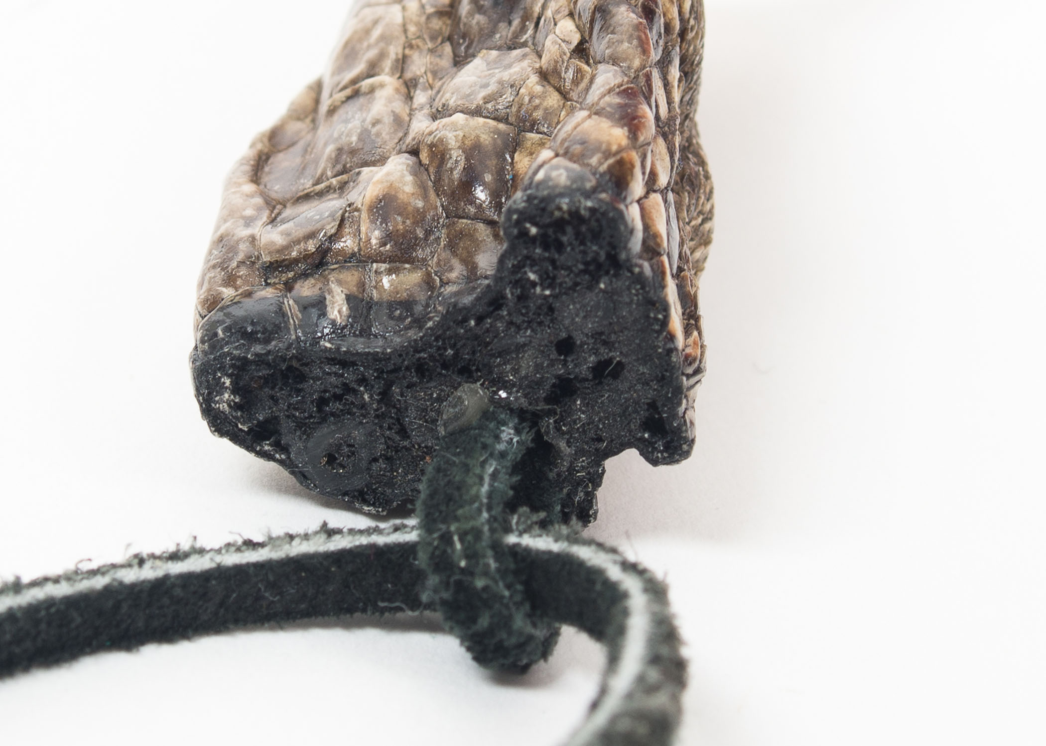 Alligator Claw Necklace and Keychain