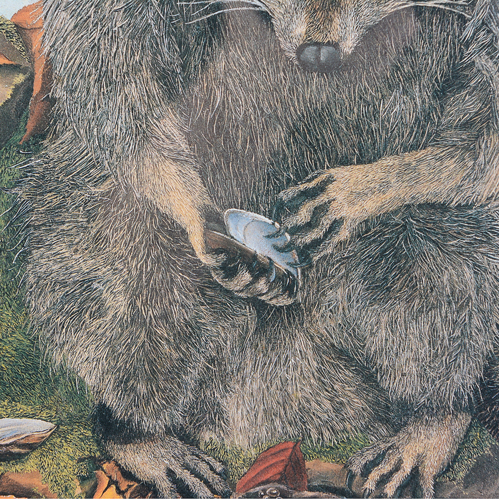 G. Fraize "Lookin'" Framed Artist Proof