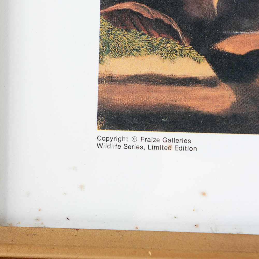 G. Fraize "Lookin'" Framed Artist Proof