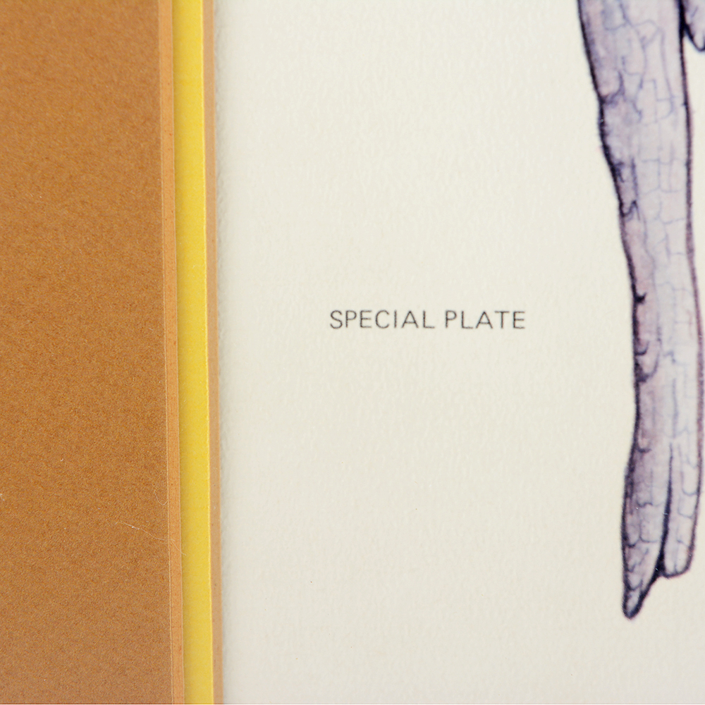 Signed "American Bald Eagle' Offset Lithograph by Larry Felker