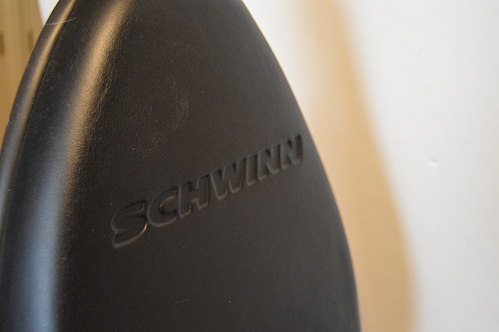 Schwinn 210P Exercise Bike