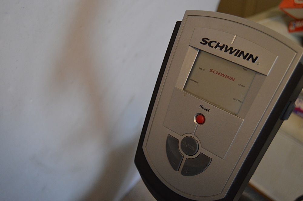 Schwinn 210P Exercise Bike